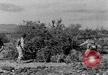 Image of camouflage United States USA, 1942, second 18 stock footage video 65675050742