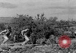 Image of camouflage United States USA, 1942, second 19 stock footage video 65675050742