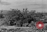 Image of camouflage United States USA, 1942, second 22 stock footage video 65675050742