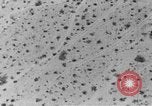 Image of camouflage United States USA, 1942, second 24 stock footage video 65675050742