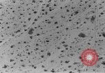 Image of camouflage United States USA, 1942, second 25 stock footage video 65675050742