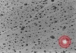 Image of camouflage United States USA, 1942, second 28 stock footage video 65675050742