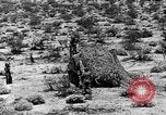 Image of camouflage United States USA, 1942, second 31 stock footage video 65675050742