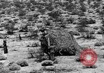 Image of camouflage United States USA, 1942, second 32 stock footage video 65675050742