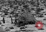 Image of camouflage United States USA, 1942, second 35 stock footage video 65675050742
