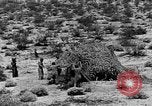 Image of camouflage United States USA, 1942, second 36 stock footage video 65675050742