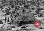 Image of camouflage United States USA, 1942, second 39 stock footage video 65675050742