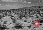 Image of camouflage United States USA, 1942, second 42 stock footage video 65675050742