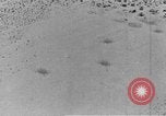 Image of camouflage United States USA, 1942, second 49 stock footage video 65675050742