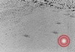 Image of camouflage United States USA, 1942, second 51 stock footage video 65675050742