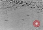 Image of camouflage United States USA, 1942, second 55 stock footage video 65675050742
