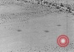 Image of camouflage United States USA, 1942, second 60 stock footage video 65675050742