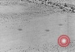 Image of camouflage United States USA, 1942, second 61 stock footage video 65675050742