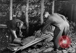Image of coal mining United States USA, 1919, second 41 stock footage video 65675050760