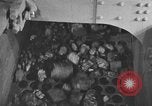 Image of coal mining United States USA, 1919, second 27 stock footage video 65675050766