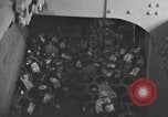 Image of coal mining United States USA, 1919, second 29 stock footage video 65675050766