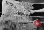 Image of beer brewery opening after prohibition United States USA, 1934, second 7 stock footage video 65675050774