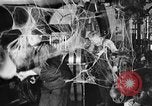 Image of beer brewery opening after prohibition United States USA, 1934, second 15 stock footage video 65675050774