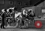 Image of beer brewery opening after prohibition United States USA, 1934, second 35 stock footage video 65675050774