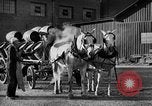 Image of beer brewery opening after prohibition United States USA, 1934, second 36 stock footage video 65675050774