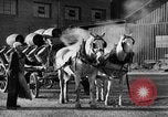 Image of beer brewery opening after prohibition United States USA, 1934, second 37 stock footage video 65675050774
