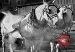 Image of beer brewery opening after prohibition United States USA, 1934, second 38 stock footage video 65675050774