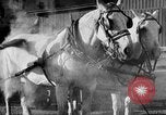 Image of beer brewery opening after prohibition United States USA, 1934, second 39 stock footage video 65675050774
