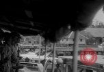 Image of Japanese occupation of Borneo Borneo, 1942, second 20 stock footage video 65675050778