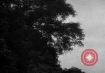 Image of Japanese occupation of Borneo Borneo, 1942, second 42 stock footage video 65675050778