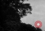 Image of Japanese occupation of Borneo Borneo, 1942, second 43 stock footage video 65675050778