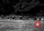 Image of Japanese occupation of Borneo Borneo, 1942, second 52 stock footage video 65675050778
