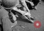 Image of Santo Tomas concentration camp Manila Philippines, 1945, second 19 stock footage video 65675050790