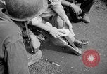 Image of Santo Tomas concentration camp Manila Philippines, 1945, second 20 stock footage video 65675050790