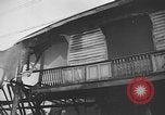 Image of Santo Tomas concentration camp Manila Philippines, 1945, second 62 stock footage video 65675050792