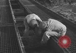 Standbild Santo Tomas Konzentrationslager Manila Philippinen, 1945, aus Sekunde 24 historischem Filmmaterial Videoclip 65675050795