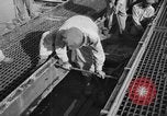 Standbild Santo Tomas Konzentrationslager Manila Philippinen, 1945, aus Sekunde 34 historischem Filmmaterial Videoclip 65675050795