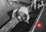 Standbild Santo Tomas Konzentrationslager Manila Philippinen, 1945, aus Sekunde 35 historischem Filmmaterial Videoclip 65675050795