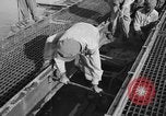 Standbild Santo Tomas Konzentrationslager Manila Philippinen, 1945, aus Sekunde 36 historischem Filmmaterial Videoclip 65675050795