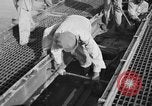 Standbild Santo Tomas Konzentrationslager Manila Philippinen, 1945, aus Sekunde 38 historischem Filmmaterial Videoclip 65675050795