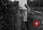 Standbild Santo Tomas Konzentrationslager Manila Philippinen, 1945, aus Sekunde 3 historischem Filmmaterial Videoclip 65675050796