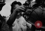 Standbild Santo Tomas Konzentrationslager Manila Philippinen, 1945, aus Sekunde 43 historischem Filmmaterial Videoclip 65675050796