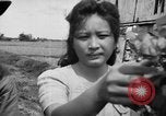 Standbild Santo Tomas Konzentrationslager Manila Philippinen, 1945, aus Sekunde 46 historischem Filmmaterial Videoclip 65675050796