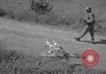 Image of Santo Tomas concentration camp Manila Philippines, 1945, second 3 stock footage video 65675050798