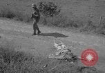 Image of Santo Tomas concentration camp Manila Philippines, 1945, second 6 stock footage video 65675050798