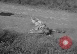 Image of Santo Tomas concentration camp Manila Philippines, 1945, second 7 stock footage video 65675050798