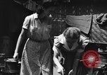 Image of Santo Tomas concentration camp Manila Philippines, 1945, second 12 stock footage video 65675050800