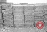Image of U.S. Airborne infantry preparing for a mission Manila Philippines, 1945, second 44 stock footage video 65675050802