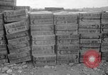 Image of U.S. Airborne infantry preparing for a mission Manila Philippines, 1945, second 45 stock footage video 65675050802