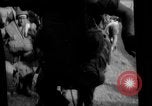 Image of paratroopers Philippines, 1945, second 39 stock footage video 65675050805