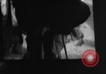 Image of paratroopers Philippines, 1945, second 46 stock footage video 65675050805